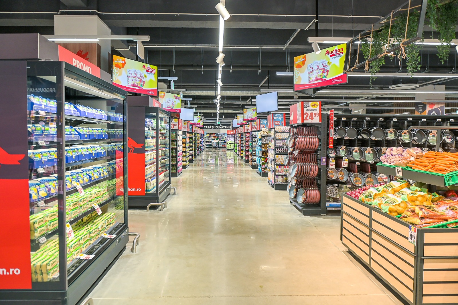 Economica Net Auchan Ajunge La Opt Supermarketuri De Mari Dimensiuni