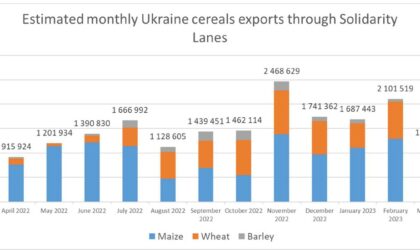 export cereale