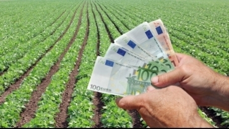 Economica.net – Fermierii români au generat anul trecut 6% din valoarea pe care UE a obținut-o din producția agricolă. România a raportat a doua cea mai mare creștere din Europa