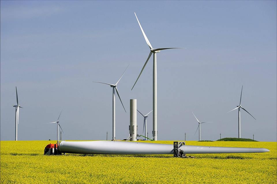 Companiile Deutsche Telekom din Cehia și Slovacia vor primi energie de la un parc eolian din Buzău. Acord de tip virtual PPA cu Rezolv Energy