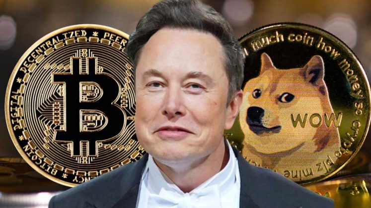 elon musk bitcoin-dogecoin