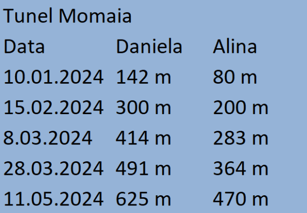 Economica net Autostrada Sibiu Pitești Primul tunel veritabil de autostradă din România