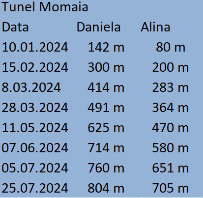 tunel sibiu pitesti