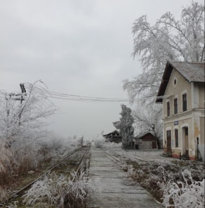 timisoara cenad