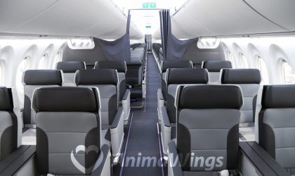 Animawings Airbus a220 